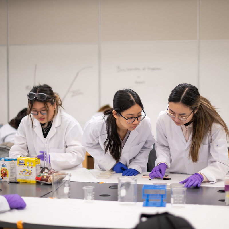 Group of Medical Sciences students in lab
